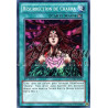 yu-gi-oh-tcg-numh-fr053-sr-resurrection-de-chakra-chasseurs-de-numeros