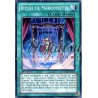 yu-gi-oh-tcg-numh-fr054-sr-rituel-de-marionnette-chasseurs-de-numeros