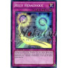 yu-gi-oh-tcg-numh-fr059-sr-recit-heraldique-chasseurs-de-numeros