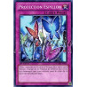 yu-gi-oh-tcg-numh-fr060-sr-protection-espillon-chasseurs-de-numeros