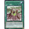 yu-gi-oh-tcg-orcs-fr060-r-temple-de-la-vallee-de-brume-l-ordre-du-chaos