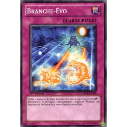 yu-gi-oh-tcg-orcs-fr074-c-branche-vo-l-ordre-du-chaos