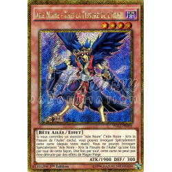 yu-gi-oh-tcg-pgl2-fr006-gse-aile-noire-kris-la-fissure-de-l-aube-gold-premium-2