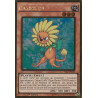yu-gi-oh-tcg-pgl2-fr030-gr-dandelion-gold-premium-2