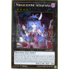 yu-gi-oh-tcg-pgl2-fr047-gr-magicienne-sedafana-gold-premium-2