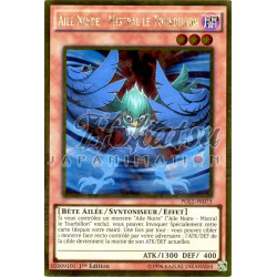 yu-gi-oh-tcg-pgl2-fr073-gr-aile-noire-mistral-le-tourbillon-gold-premium-2