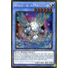 yu-gi-oh-tcg-pgl2-fr085-gr-heraut-de-la-perfection-gold-premium-2