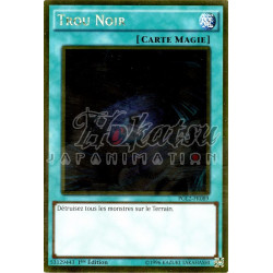 yu-gi-oh-tcg-pgl2-fr089-gr-trou-noir-gold-premium-2