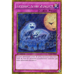 yu-gi-oh-tcg-pgld-fr029-gse-fantome-d-une-rancune-gold-premium