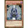 yu-gi-oh-tcg-pgld-fr089-gr-pretre-invocateur-gold-premium