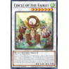 yu-gi-oh-tcg-phhy-en042-c-circle-of-the-fairies-photon-hypernova