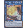 yu-gi-oh-tcg-phhy-en090-sr-gold-pride-nytro-blaster-photon-hypernova