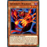 yu-gi-oh-tcg-phra-en017-c-infernity-wildcat-phantom-rage