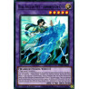 yu-gi-oh-tcg-phra-en033-sr-dual-avatar-feet-armored-un-gyo-phantom-rage