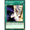 yu-gi-oh-tcg-phra-en066-c-xyz-import-phantom-rage