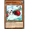 yu-gi-oh-tcg-phra-en082-c-jabbing-panda-phantom-rage