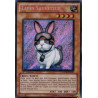 yu-gi-oh-tcg-phsw-fr037-se-lapin-sauveteur-onde-de-choc-du-photon