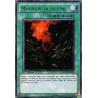 yu-gi-oh-tcg-phsw-fr058-r-murmure-de-la-foret-onde-de-choc-du-photon