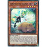 yu-gi-oh-tcg-pote-en017-sr-vernusylph-of-the-awakening-forests-power-of-the-elements