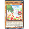 yu-gi-oh-tcg-pote-en018-c-vernusylph-of-the-flowering-fields-power-of-the-elements