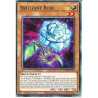 yu-gi-oh-tcg-pote-en021-c-brilliant-rose-power-of-the-elements