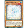 yu-gi-oh-tcg-pote-en027-c-rikka-princess-power-of-the-elements