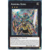 yu-gi-oh-tcg-pote-en048-se-ashura-king-power-of-the-elements