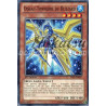 yu-gi-oh-tcg-prio-fr007-c-oiseau-tonnerre-du-blizzard-origine-primitive