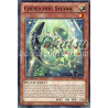 yu-gi-oh-tcg-prio-fr018-c-cheruchou-sylvan-origine-primitive