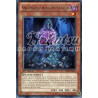 yu-gi-oh-tcg-prio-fr019-r-snapdrassinagon-sylvan-origine-primitive