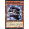 yu-gi-oh-tcg-prio-fr039-c-poussieron-poussiere-d-toile-origine-primitive