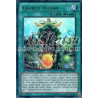 yu-gi-oh-tcg-prio-fr062-ur-charite-sylvan-origine-primitive