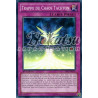 yu-gi-oh-tcg-prio-fr070-sr-trappe-du-chaos-tachyon-origine-primitive
