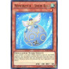 yu-gi-oh-tcg-rate-en008-ur-windwitch-snow-bell-raging-tempest