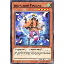 yu-gi-oh-tcg-rate-en024-c-shinobird-pigeon-raging-tempest