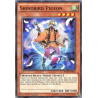 yu-gi-oh-tcg-rate-en024-c-shinobird-pigeon-raging-tempest