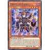 yu-gi-oh-tcg-rate-en025-r-envoy-of-chaos-raging-tempest