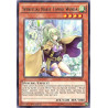 yu-gi-oh-tcg-rate-en026-r-spiritual-beast-tamer-winda-raging-tempest