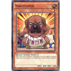 yu-gi-oh-tcg-rate-en031-c-yokotuner-raging-tempest