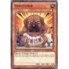 yu-gi-oh-tcg-rate-en031-c-yokotuner-raging-tempest