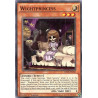 yu-gi-oh-tcg-rate-en033-c-wightprincess-raging-tempest