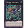 yu-gi-oh-tcg-rate-en051-se-zoodiac-broadbull-raging-tempest