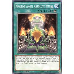 yu-gi-oh-tcg-rate-en055-c-machine-angel-absolute-ritual-raging-tempest
