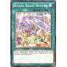yu-gi-oh-tcg-rate-en064-c-ritual-beast-return-raging-tempest