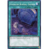 yu-gi-oh-tcg-rate-en065-se-foolish-burial-goods-raging-tempest