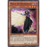 yu-gi-oh-tcg-redu-fr002-c-mage-de-dommages-le-retour-du-duelliste