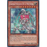 yu-gi-oh-tcg-redu-fr020-se-grande-pretresse-de-la-prophetie-le-retour-du-duelliste