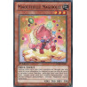yu-gi-oh-tcg-redu-fr021-c-miaoufeuille-magidolce-le-retour-du-duelliste