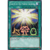 yu-gi-oh-tcg-redu-fr055-c-tablette-de-l-il-pyramide-chronomal-le-retour-du-duelliste
