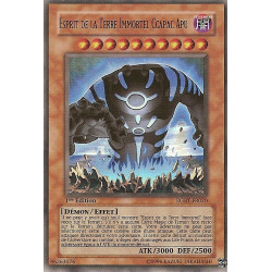 yu-gi-oh-tcg-rgbt-fr020-ur-esprit-de-la-terre-immortel-ccapac-apu-rage-des-guerriers